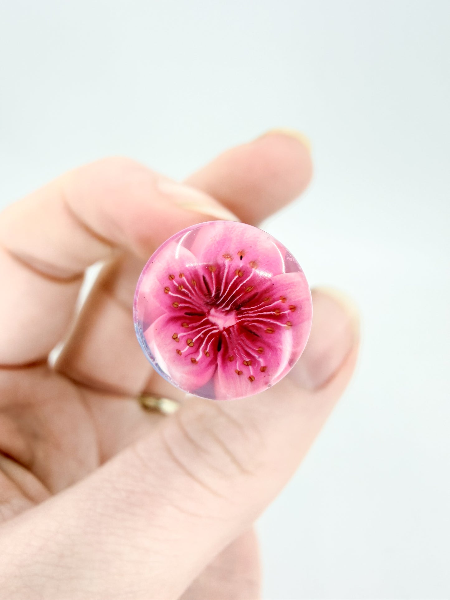 DC Cherry Blossom Fountain Pen
