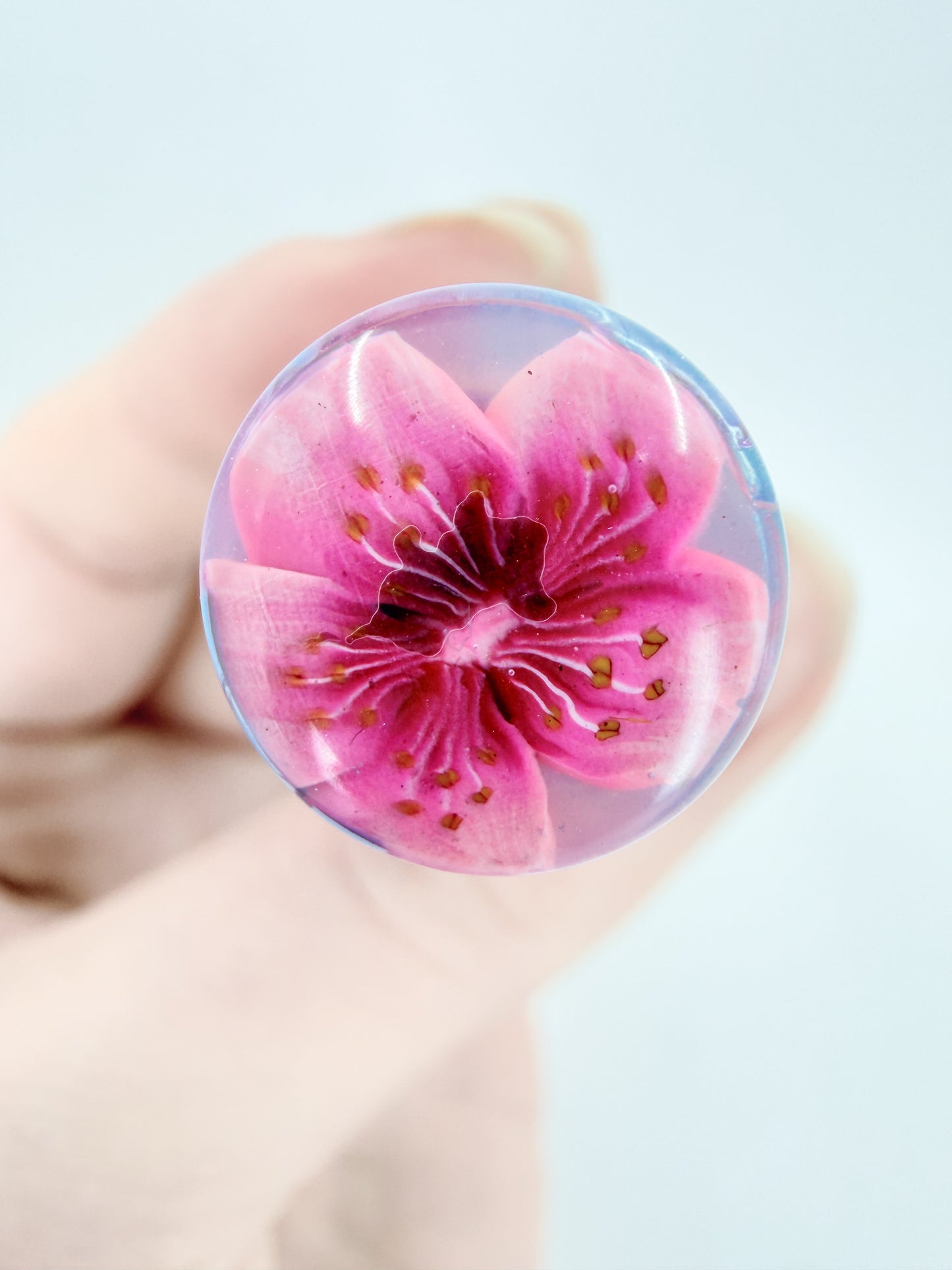 DC Cherry Blossom Fountain Pen